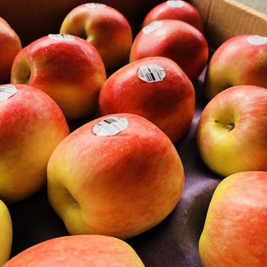 智利神仙果-超级好吃的苹果