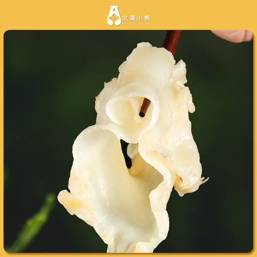 深海鳕鱼花胶35头#宁波仓 商品图5