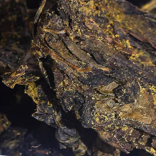 中秋节｜安化黑茶·白沙溪福天下紫印｜团云界荒山老树春尖｜金花茯砖茶礼盒（2018年） 商品图3
