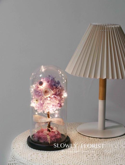 幸福树永生花（带灯） 商品图10