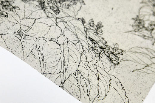 《中国画花鸟白描》定价：138 刘海勇著 尉晓榕主编 中国美术学院 正版品牌直销 满58包邮--中国美术学院出版社欢迎您！ 商品图3