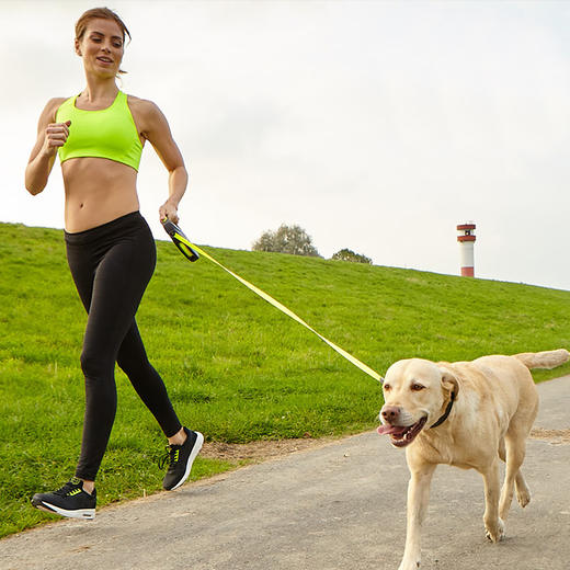 福莱希狗狗牵引绳子自动伸缩中大型犬遛狗链子小型中型大型犬金毛用品 商品图1