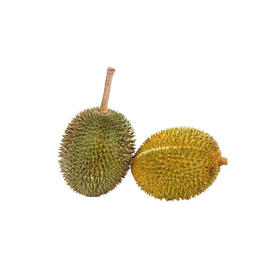 【泰国长柄榴莲】软糯浓香，树上熟，大小可选