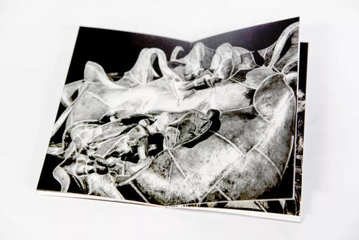 《葵颂六章（共六册）》 定价：216 许江 著 中国美术学院 正版品牌直销 满58包邮--中国美术学院出版社欢迎您！ 商品图3