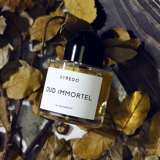 柏芮朵 不朽乌木（永恒乌香） Byredo Oud Immortel 分装 商品图1