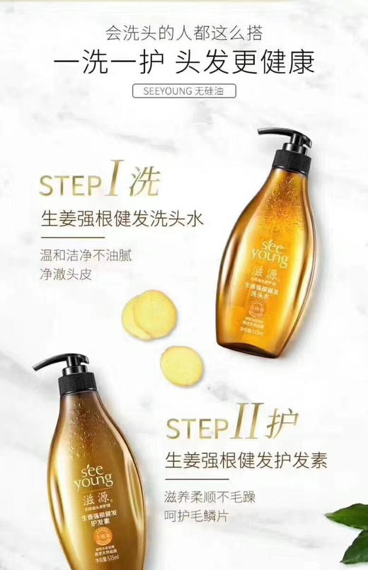 滋源 生姜强根健发洗发水油性26年12月 商品图0