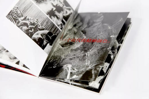 《葵颂六章（共六册）》 定价：216 许江 著 中国美术学院 正版品牌直销 满58包邮--中国美术学院出版社欢迎您！ 商品图2