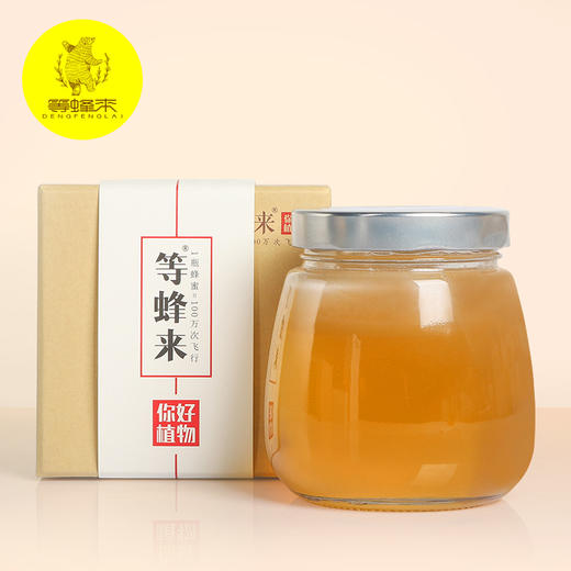 【杏花蜜】等蜂来天然杏花蜂蜜618g礼盒装，适合爱美女性，采自甘肃庆阳的天然蜂蜜 商品图0