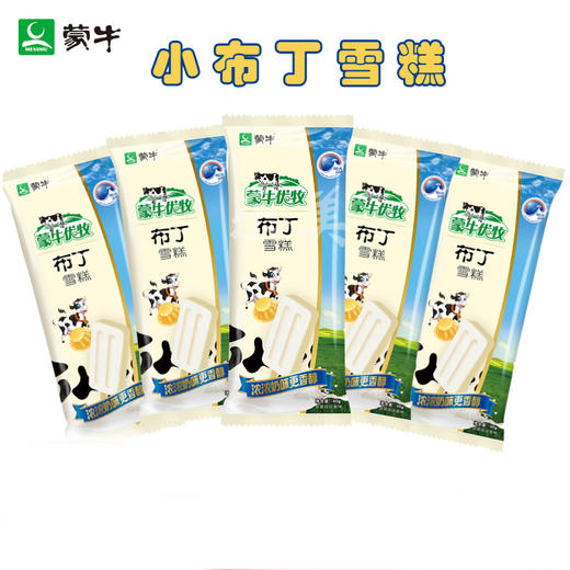 10支蒙牛小布丁雪糕 商品图0