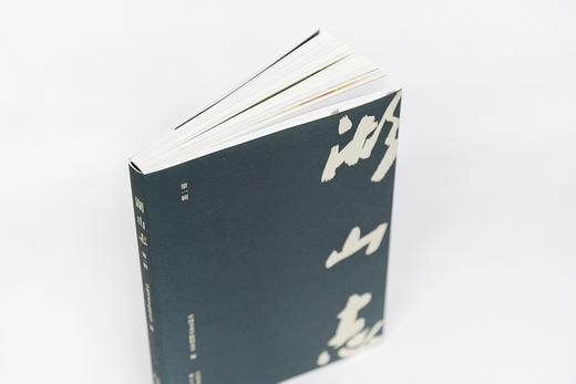 《湖山志（第一辑）》定价:118 中国美术学院校友会 编 中国美术学院 正版品牌直销 满58包邮--中国美术学院出版社欢迎您！ 商品图1