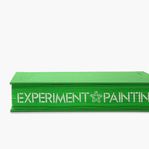 《隐秘-开放》定价:328 许江 杨参军 井士剑主编 中国美术学院 正版品牌直销 满58包邮--中国美术学院出版社欢迎您！ 商品图3