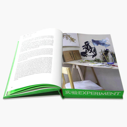 《隐秘-开放》定价:328 许江 杨参军 井士剑主编 中国美术学院 正版品牌直销 满58包邮--中国美术学院出版社欢迎您！ 商品图4