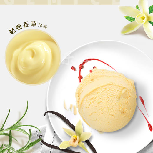 甄稀牛油果/提拉米苏/榛子巧克力雪糕冰淇淋 商品图5