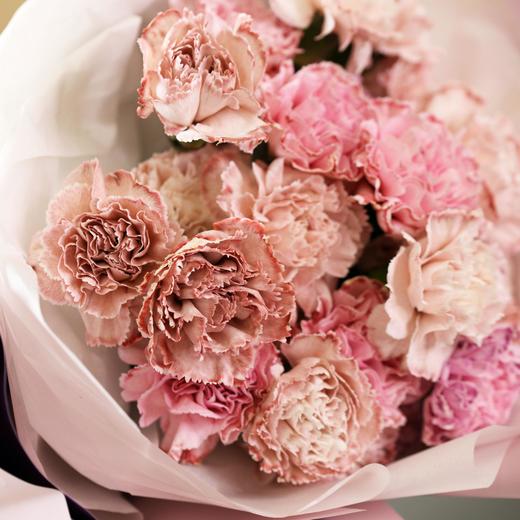 康乃馨花束【教师节】 商品图1