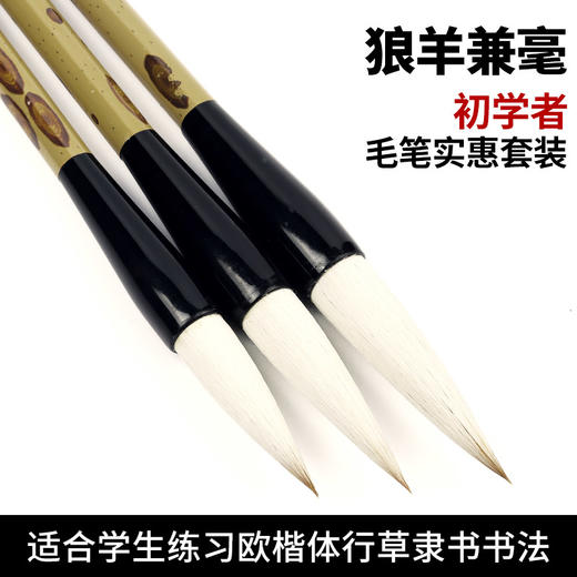 狼羊兼毫初学者书画用笔10支毛笔套装 商品图0