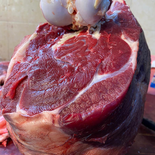 藏族纯种鲜牦牛肉牛排带骨5斤约4袋