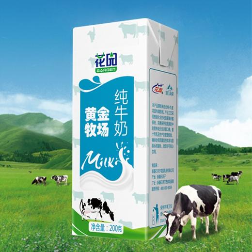 爆款~【新疆花园纯牛奶】200g*20盒/箱，利乐砖包装，包装升级不加价 商品图0