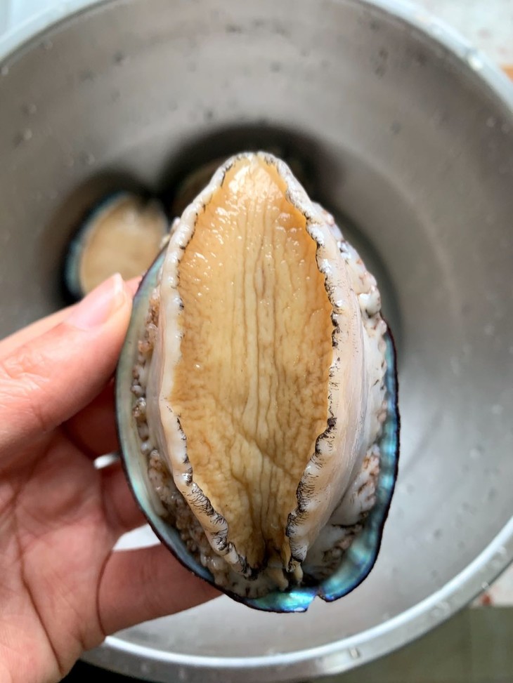 肉身能做刺身外壳可以熬汤吃海草长大布满藤壶的深海鲍鱼