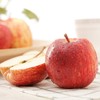 【洛川山地苹果】18头/箱，脆甜可口，汁水足 商品缩略图0