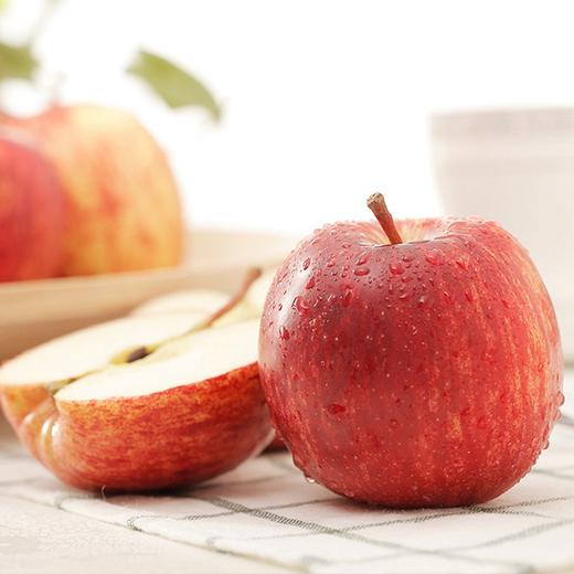 【洛川山地苹果】18头/箱，脆甜可口，汁水足 商品图0