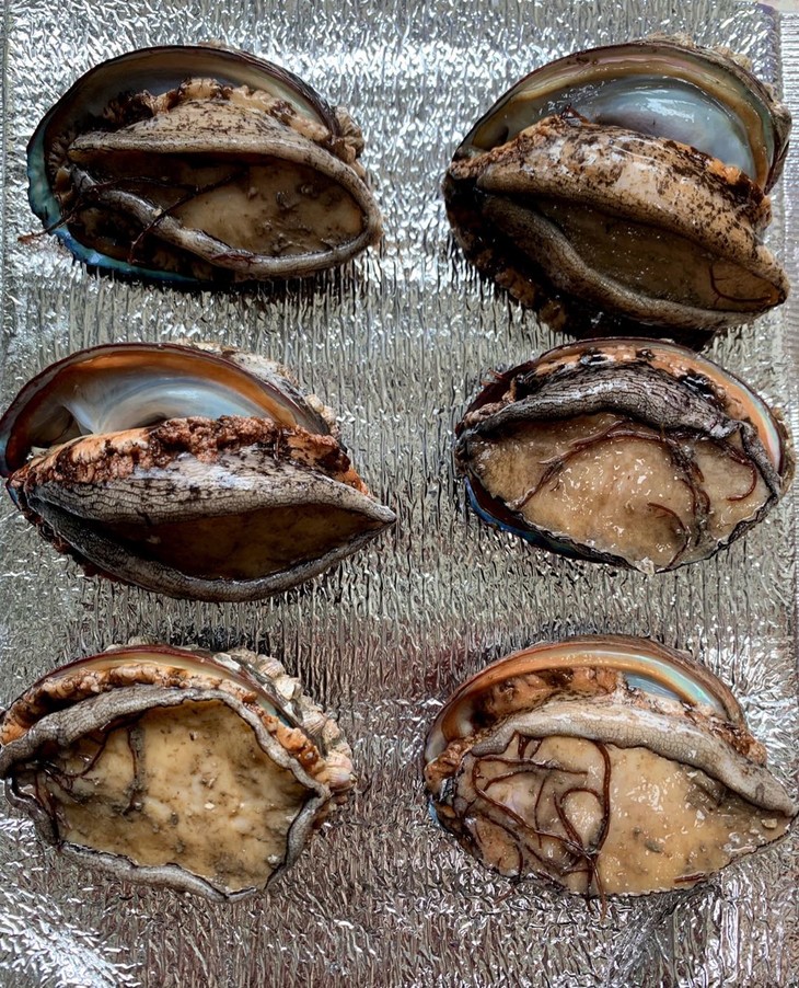 肉身能做刺身外壳可以熬汤吃海草长大布满藤壶的深海鲍鱼