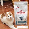 【幸运土猫】1.5kg皇家DR25低过敏处方粮包邮 商品缩略图0