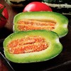 【阿里蜜香瓜】4.5斤/9斤装，香甜脆爽，鲜嫩多汁 商品缩略图1