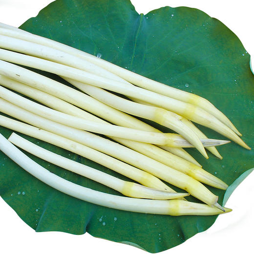 【顺丰发货】湖北特产藕带 新鲜洪湖藕带 3斤装