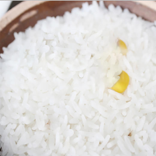 广东稻香楼软香米5kg农家米水稻米袋装新鲜大米籼米长粒香米10斤 商品图2