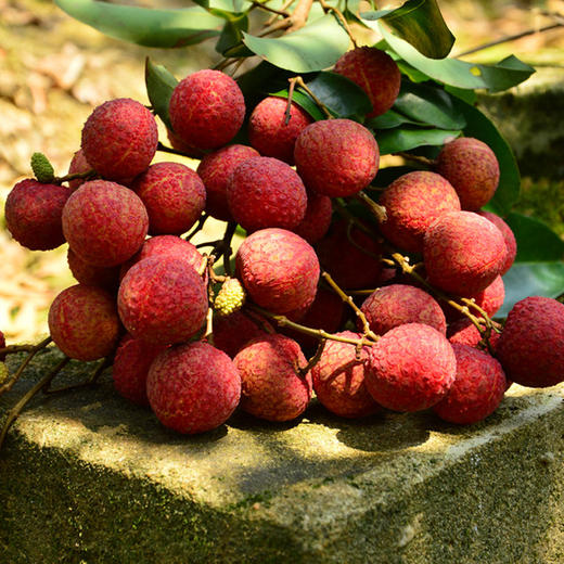 白糖罂荔枝嫩白软滑，平均能达到19°蜜甜 商品图0
