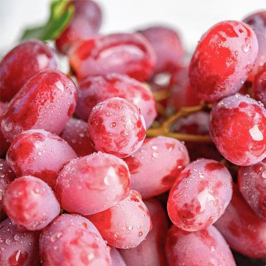 【澳洲无籽红提】2斤/份，果肉晶莹剔透，果实新鲜。 商品图1