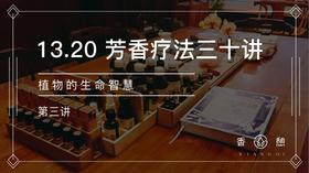第3讲-植物的生命智慧