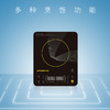 桑乐（SANGLE）电磁炉DCL-185A8 商品缩略图0