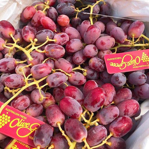 【澳洲无籽红提】2斤/份，果肉晶莹剔透，果实新鲜。 商品图4