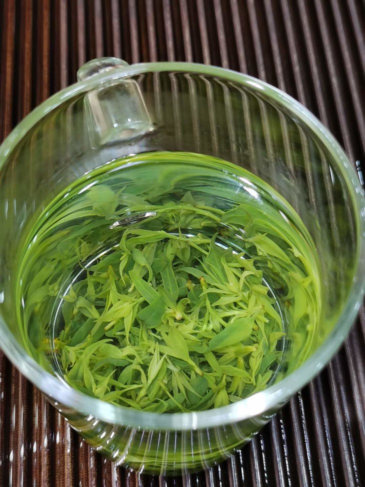 小叶苦丁口碑250g青山绿水茶明前嫩芽春茶高档青山绿水茶叶茶汤碧绿含
