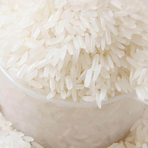 稻香楼金香米5kg农家米水稻米广东河源新鲜大米籼米10斤袋装 商品图4