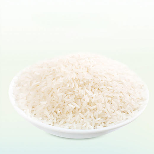 广东稻香楼软香米5kg农家米水稻米袋装新鲜大米籼米长粒香米10斤 商品图3