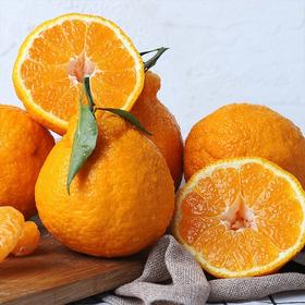 【四川耙耙柑】约5斤/箱，优级果，好吃不上火