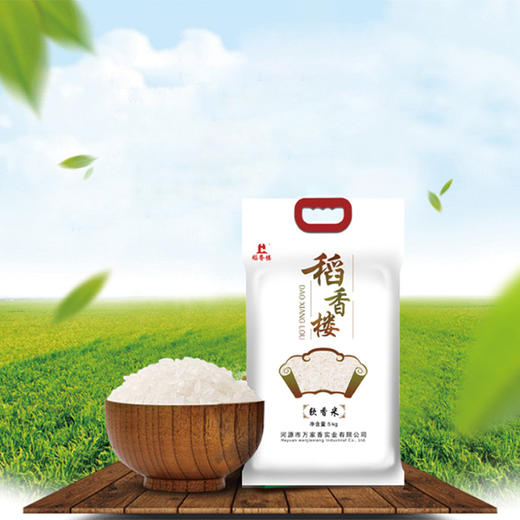 广东稻香楼软香米5kg农家米水稻米袋装新鲜大米籼米长粒香米10斤 商品图1