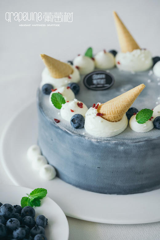 蓝色多瑙河 商品图2