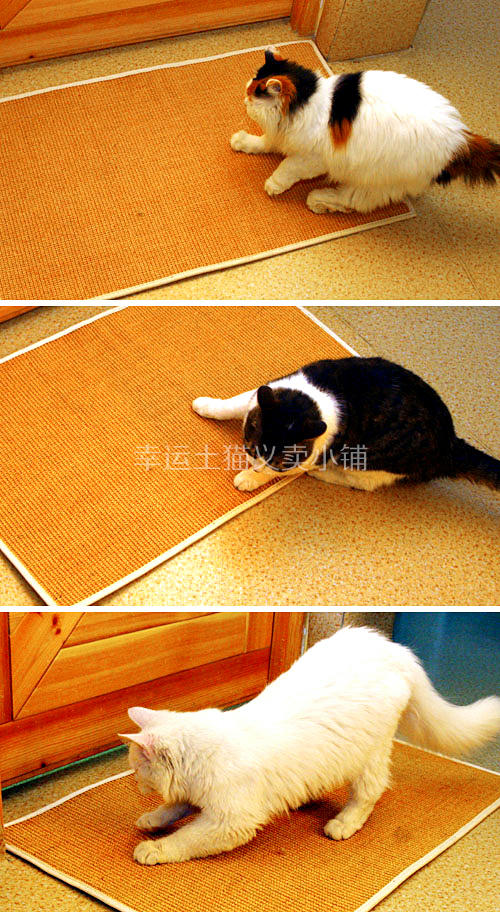 【幸运土猫】抓狂！实惠版剑麻地垫花色随机门垫卧室门厅阳台 商品图2
