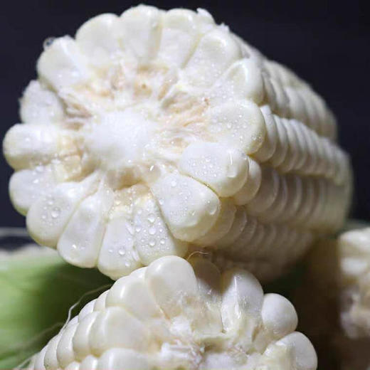 福建漳州牛奶水果玉米3斤包邮现摘现发农家种植颗粒饱满白如珍珠香甜