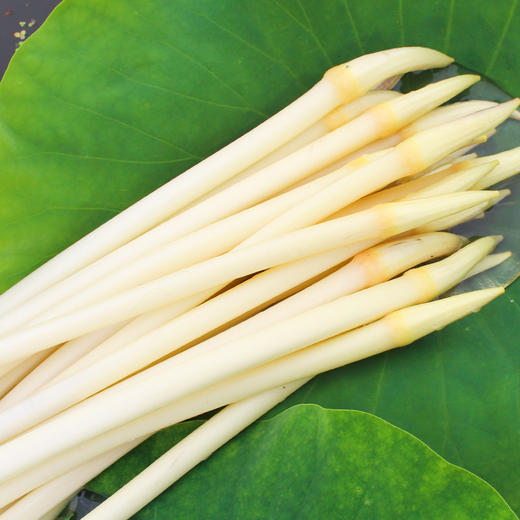 【顺丰发货】湖北特产藕带 新鲜洪湖藕带 3斤装