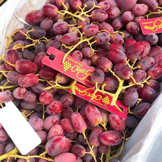 【澳洲无籽红提】2斤/份，果肉晶莹剔透，果实新鲜。 商品图5