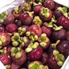 福利来袭～【泰国山竹】约5斤/份，精品大果，酸甜可口，个个都是小白胖子 商品缩略图5