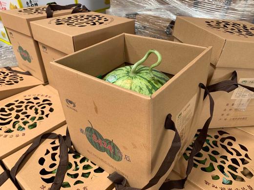 无籽麒麟瓜     皮薄，汁 多，甘甜，爽口再加上个头适中成为了西瓜中德王牌，深受市民喜爱 商品图4