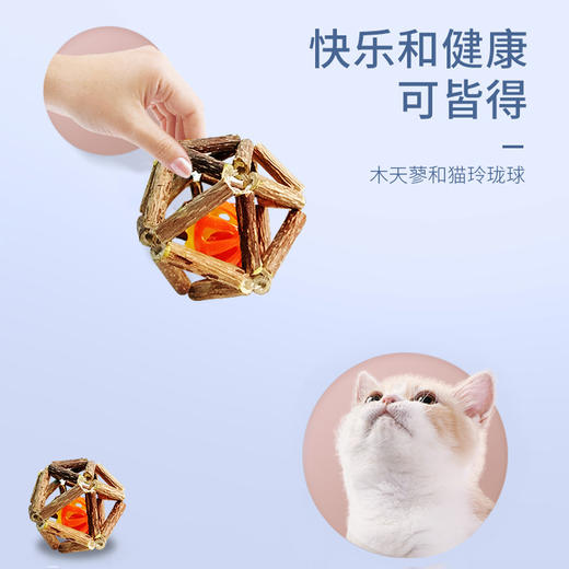 厂家直销新款猫猫玩具玲珑球木天蓼铃铛球 磨牙洁齿棒猫薄荷球猫咪用品 铃铛球-小号 商品图1