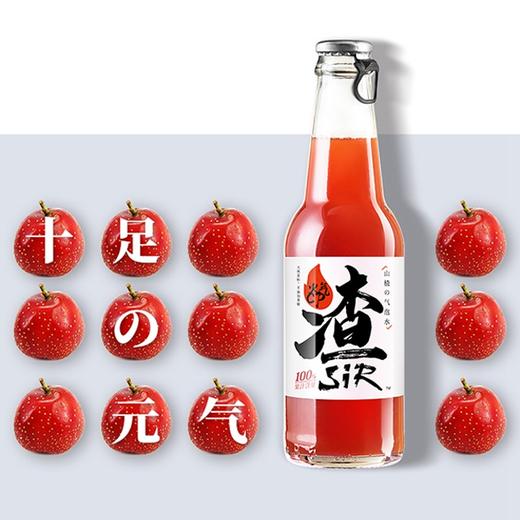 【超级网红-渣sir山楂气泡水】230ml*6瓶/12瓶/24瓶，喝前冰一下口感更佳 商品图3