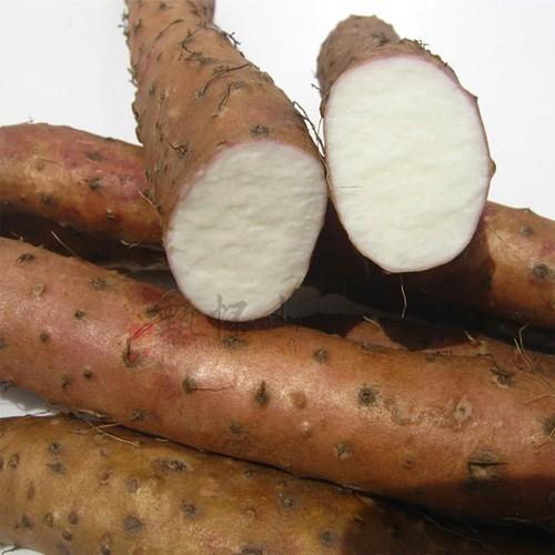 正宗河南温县垆土地铁棍山药，粉糯甘甜，药食同源 商品图3