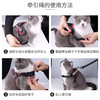 玲宠猫咪狗狗胸背带牵引绳遛狗绳遛猫胸背带中小型犬猫通用宠物用品 商品缩略图4